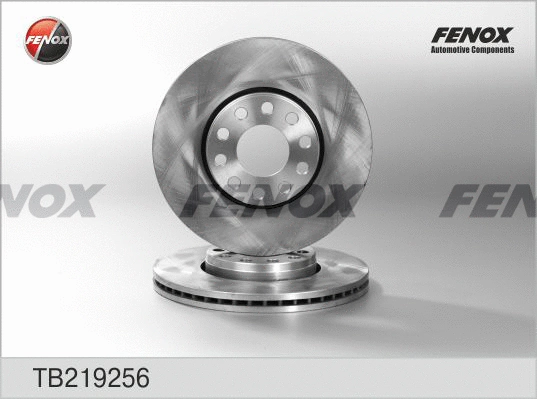 Brake Disc (TB219256)