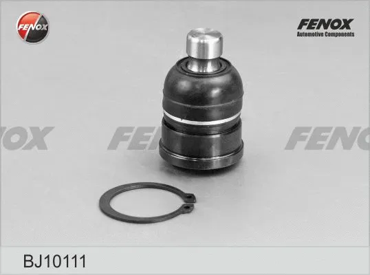 Ball Joint (BJ10111)