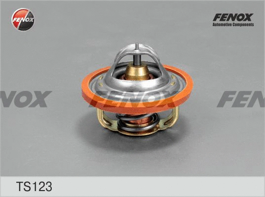 Thermostat, coolant (TS123)
