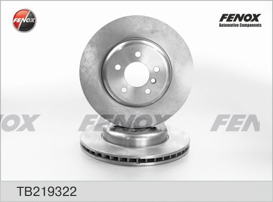 Brake Disc (TB219322)