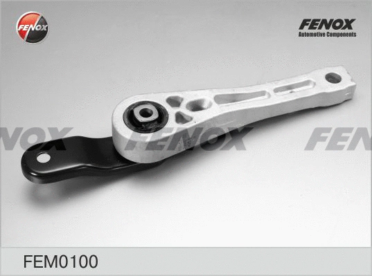 Mounting, engine (FEM0100)