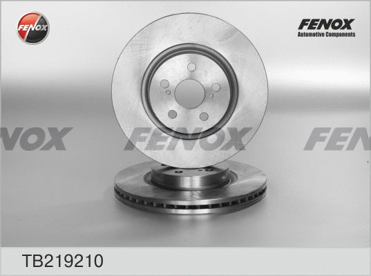 Brake Disc (TB219210)