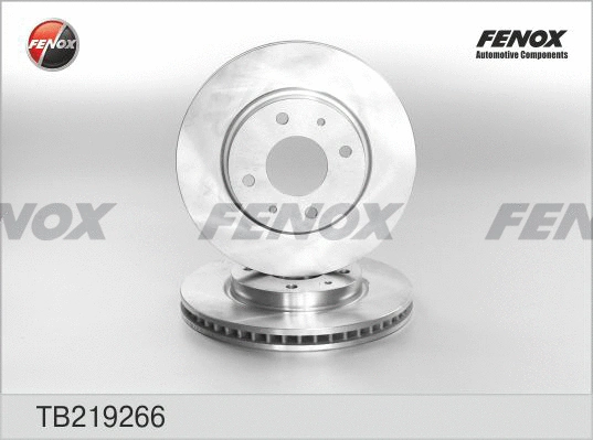 Brake Disc (TB219266)