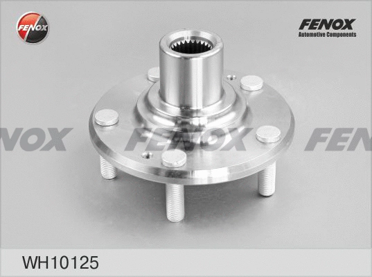 Wheel Hub (WH10125)