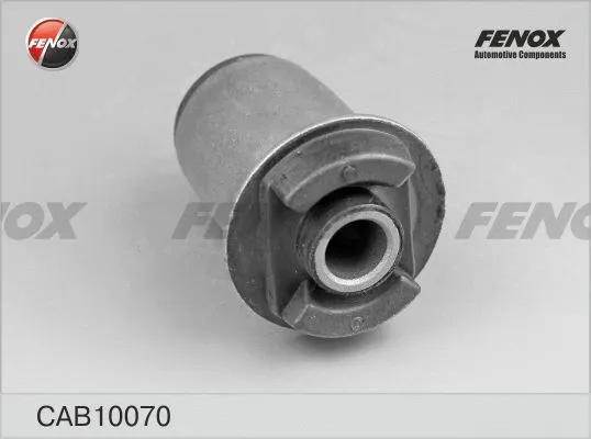 Mounting, control/trailing arm