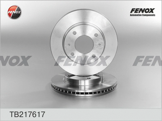 Brake Disc (TB217617)