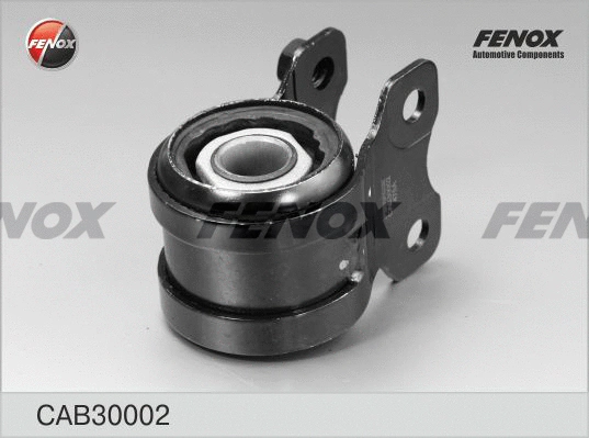 Mounting, control/trailing arm (CAB30002)