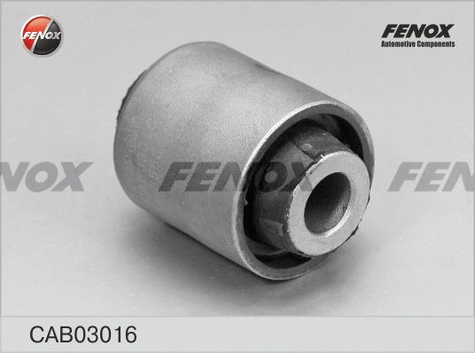 Mounting, control/trailing arm (CAB03016)
