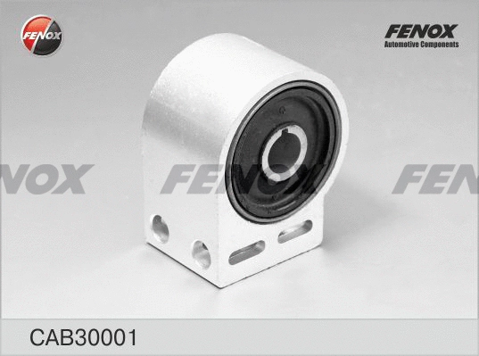Mounting, control/trailing arm (CAB30001)