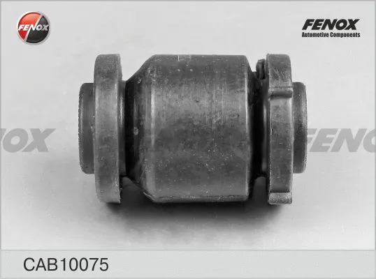 Mounting, control/trailing arm