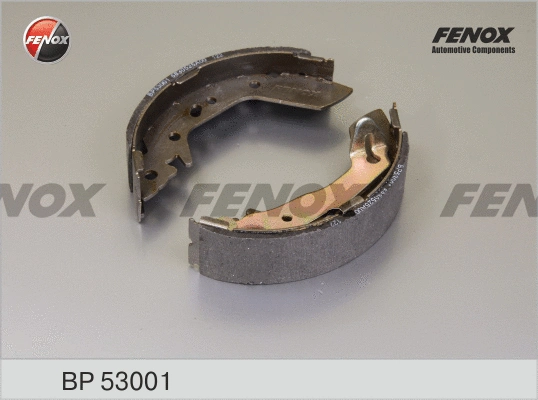 Brake Shoe Set (BP53001)