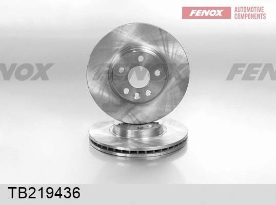 Brake Disc (TB219436)