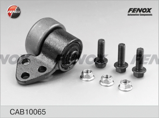 Mounting, control/trailing arm