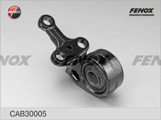 Mounting, control/trailing arm