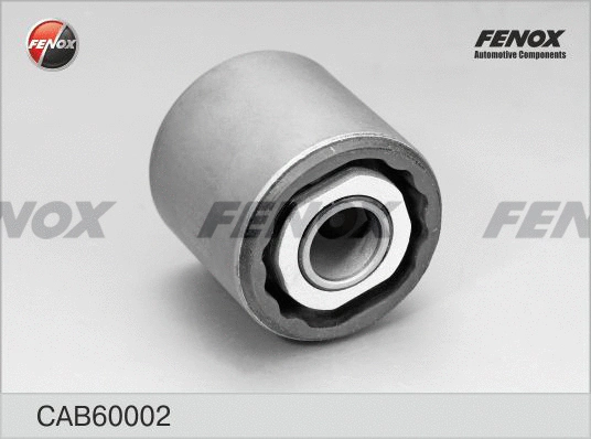 Mounting, control/trailing arm (CAB60002)