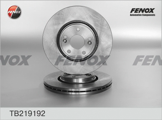 Brake Disc (TB219192)