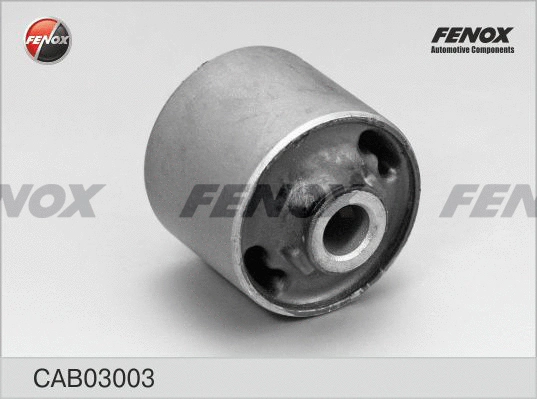 Mounting, control/trailing arm (CAB03003)