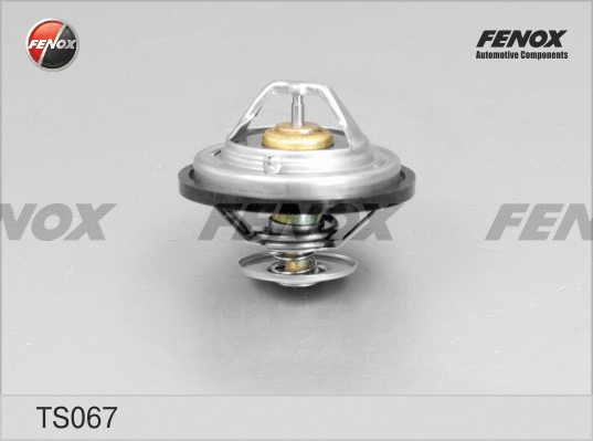 Thermostat, coolant (TS067)
