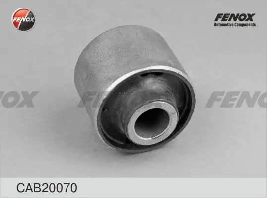 Mounting, control/trailing arm