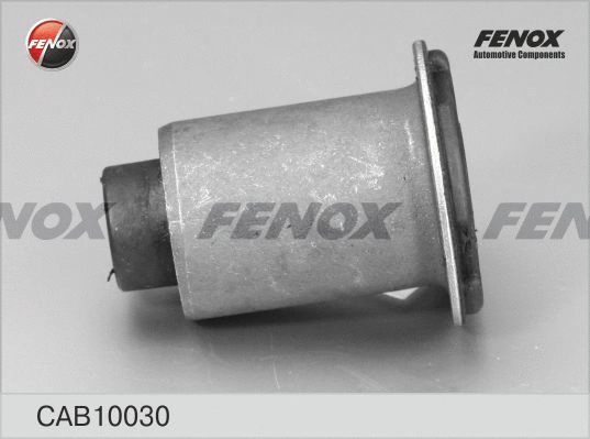 Mounting, control/trailing arm