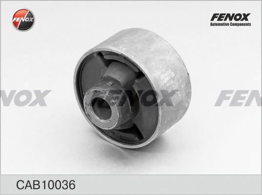 Mounting, control/trailing arm