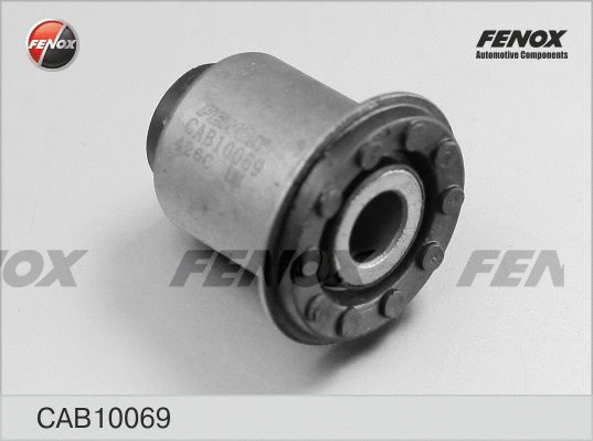 Mounting, control/trailing arm (CAB10069)
