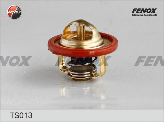 Thermostat, coolant (TS013)