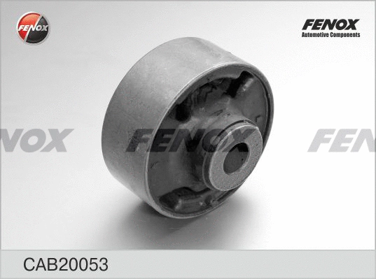 Mounting, control/trailing arm (CAB20053)