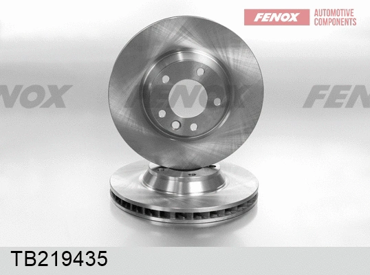 Brake Disc (TB219435)