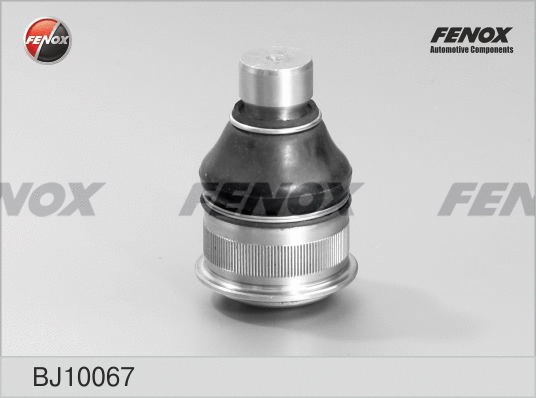 Ball Joint (BJ10067)