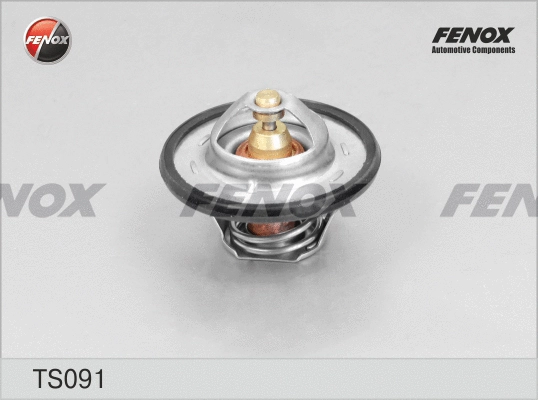 Thermostat, coolant (TS091)