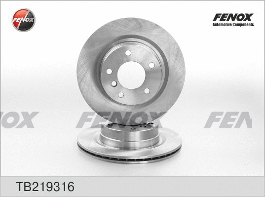 Brake Disc (TB219316)