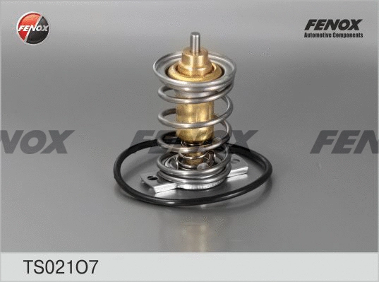 Thermostat, coolant (TS021O7)