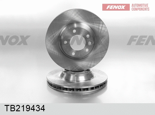 Brake Disc (TB219434)