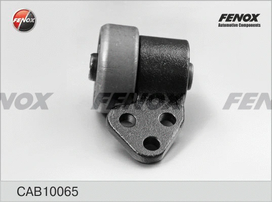 Mounting, control/trailing arm