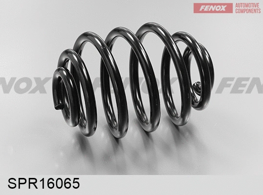 Suspension Spring (SPR16065)
