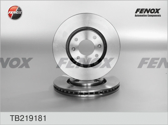 Brake Disc (TB219181)