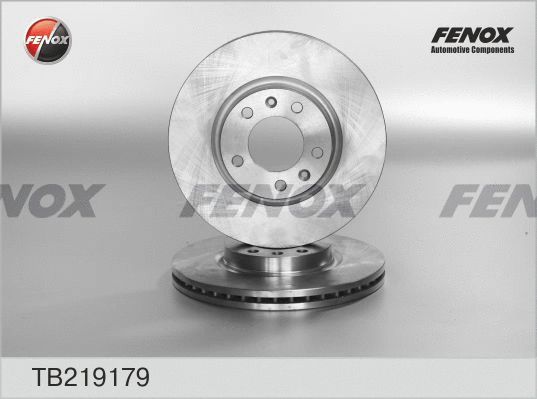 Brake Disc (TB219179)