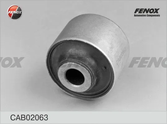 Mounting, control/trailing arm (CAB02063)