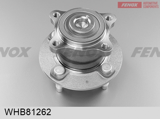 Wheel Hub (WHB81262)