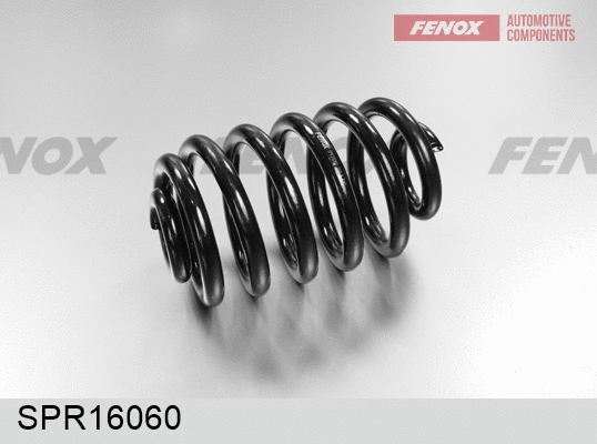 Suspension Spring (SPR16060)