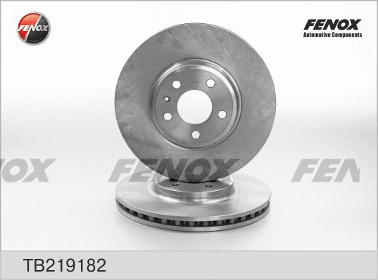 Brake Disc (TB219182)