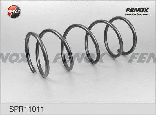 Suspension Spring (SPR11011)