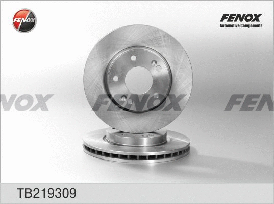 Brake Disc (TB219309)