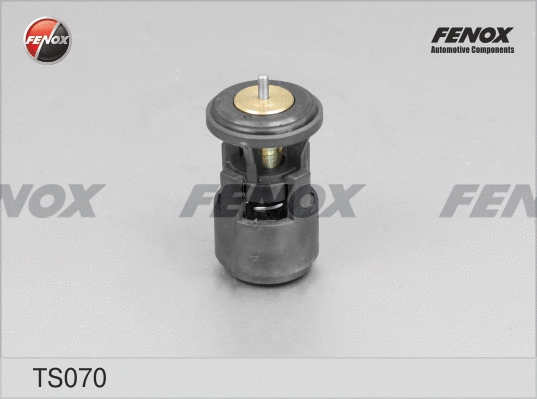 Thermostat, coolant (TS070)