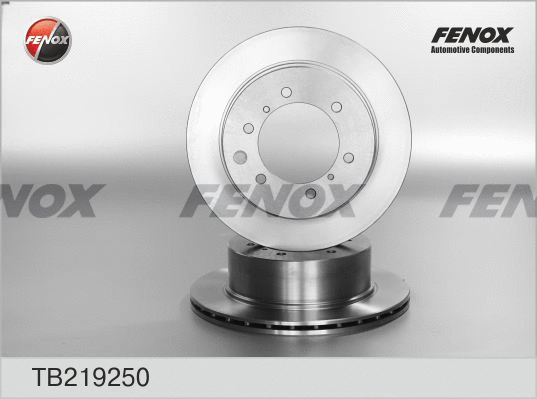 Brake Disc (TB219250)