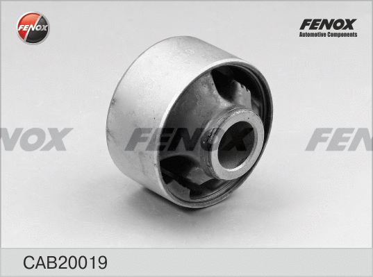 Mounting, control/trailing arm (CAB20019)