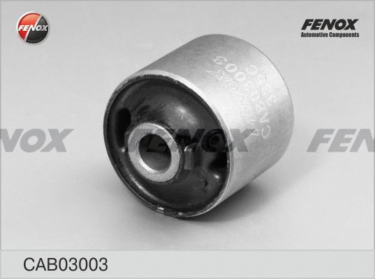 Mounting, control/trailing arm