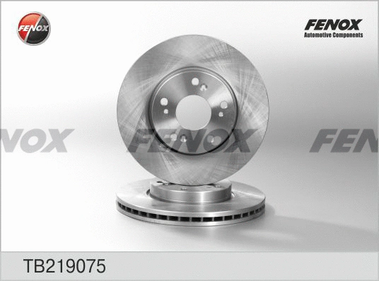 Brake Disc (TB219075)