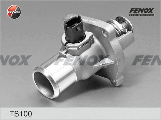 Thermostat, coolant (TS100)